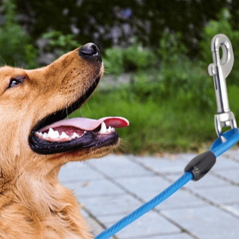 Flexible Double Head Pet Wire Rope Heavy-Duty Long Leash Traction Rope Dog Tie Out Cable  Outdoor