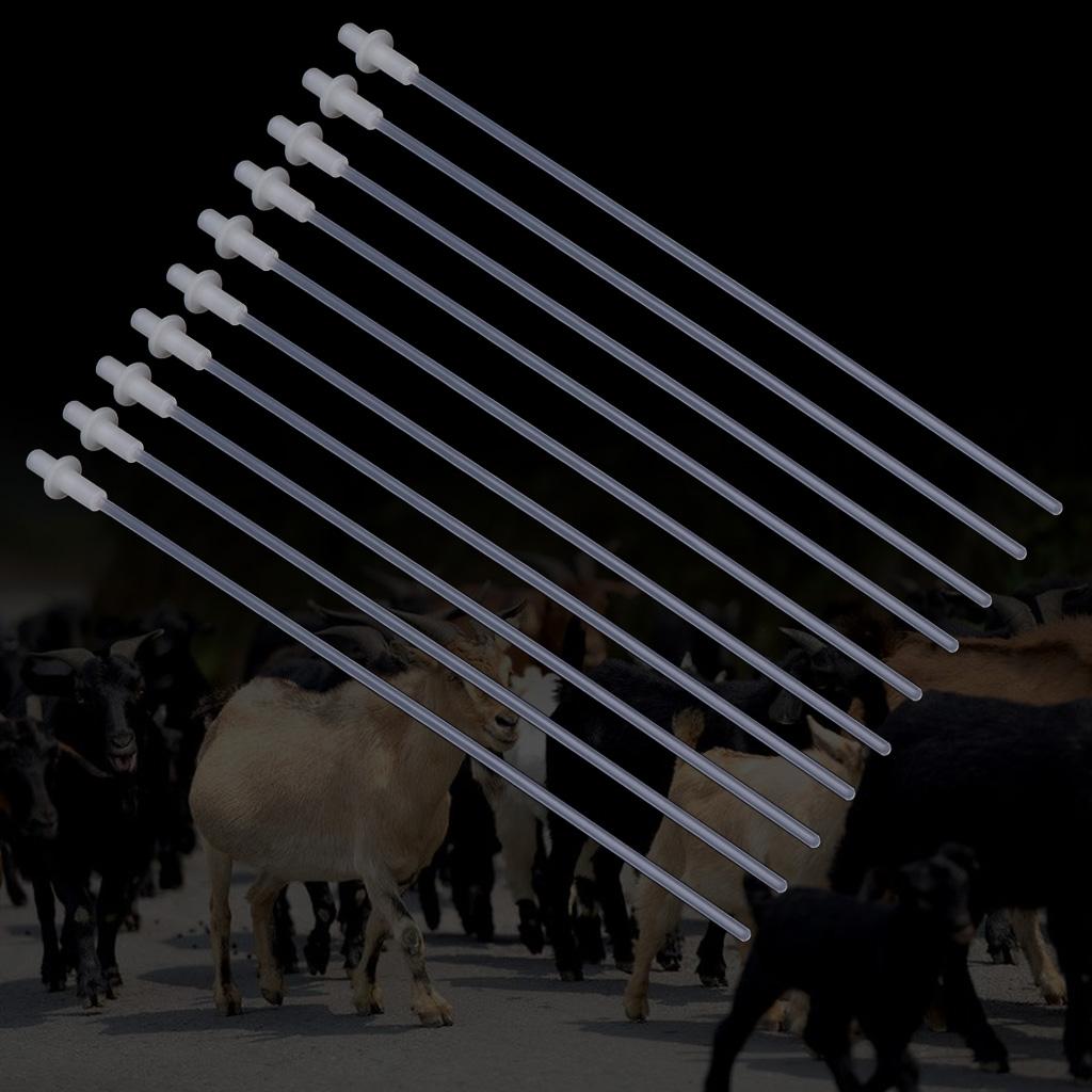 10 Pcs Artificial Insemination Rods Set Disposable Animal Breeding Tubes for Ideal for Goat Sheep Breeding Test