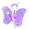 LED20 Luminous Butterfly & Angel Wings Toy Set for Kids - Three Pieces