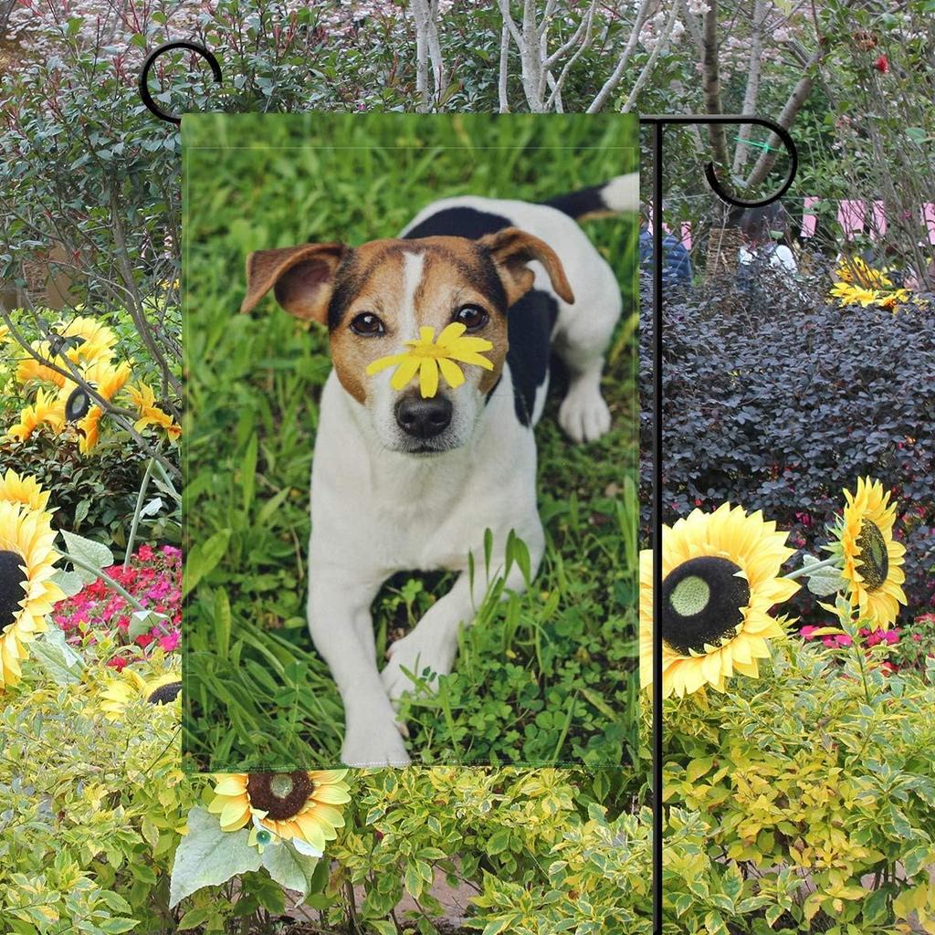 MOYYO Cute Jack Russell Terrier Dog Garden Flag 12 X 18 Inch Welcome Yard Garden Flag Double Sided Decorative Flag for Patio Lawn Outdoor Home Decor