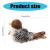 Cats Bird Cats Toy Kitten Squeaky Toy with Feather for Cats Teething Chewing Bird with Feather for Cats To Exercise Gift