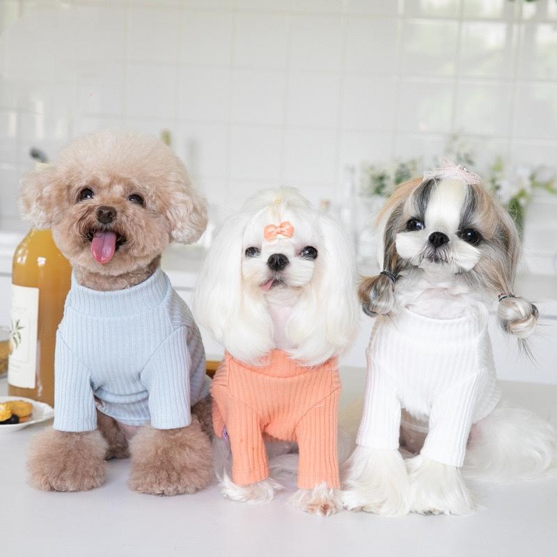 Pet Dog Clothes Shirt Warm Two-legged Sweater Autumn Winter Dog and Cat Clothes French Bulldog Clothes