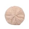 Hat Women'S Spring And Autumn Thin Cotton Solid Color Jacquard Mesh Breathable Fashion Lace Baotou Confinement Hat Maternity