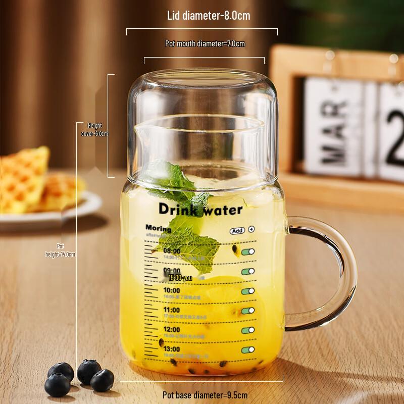 Shangqi 800ml High Borosilicate Glass Water Bottle with Lid