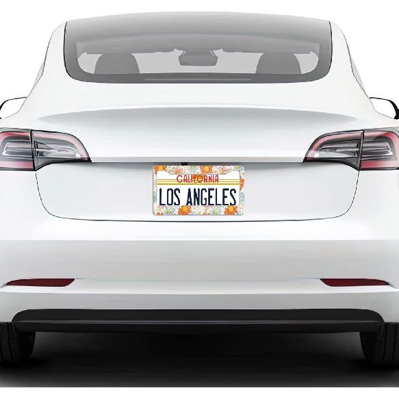License Plate Frame,Floral Retro Daisys License Plate Frames Decorative Car Tag Frames Aluminum Metal License Plate Holder For US Canada Standard
