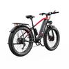 Elektrofahrrad Duotts F26, Doppelmotor 750W, 48V 20AH Akku, Höchstgeschwindigkeit 55 km/h, Reichweite 120 km, 26x4,0 Zoll Reifen