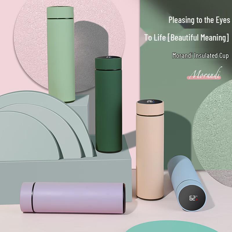 Anvelo 480ml Smart Temperature Display Thermal Mug