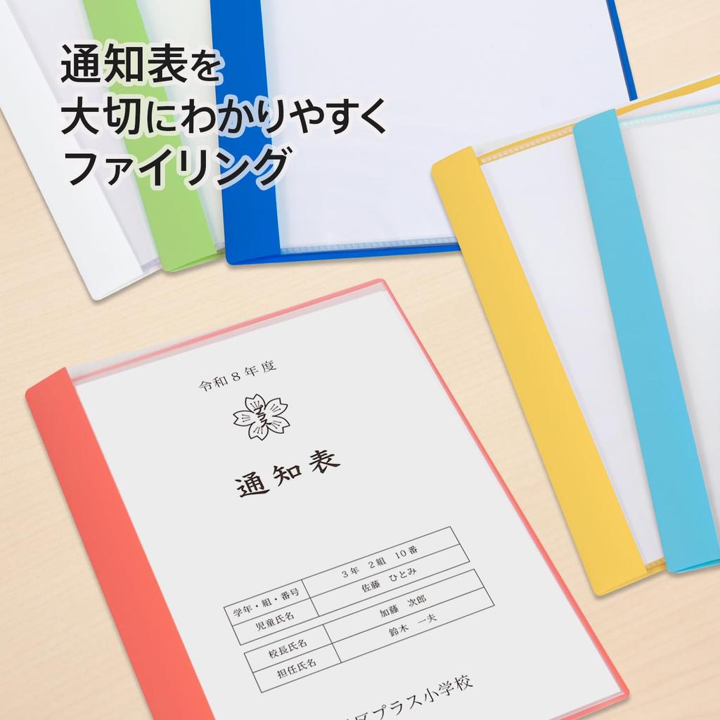 Plus Pocket Report Card Horizontal 10 Pack of x 10 File, File, Insert, Pockets, 10, Red, FL-198GD, 79-974