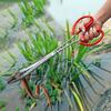 Extra Long Multi-function Stainless Steel Tongs Red Handle Seafood Hand Tool  Reptile Feeding