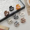 Acetate Small Hairpin, Female High-End Back Of The Head, Semi-Tied Hair Grab Clip, Headgear, Simple Hairpin Hair Accessories
