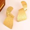 European Geometric Irregular Pleated Alloy Earrings