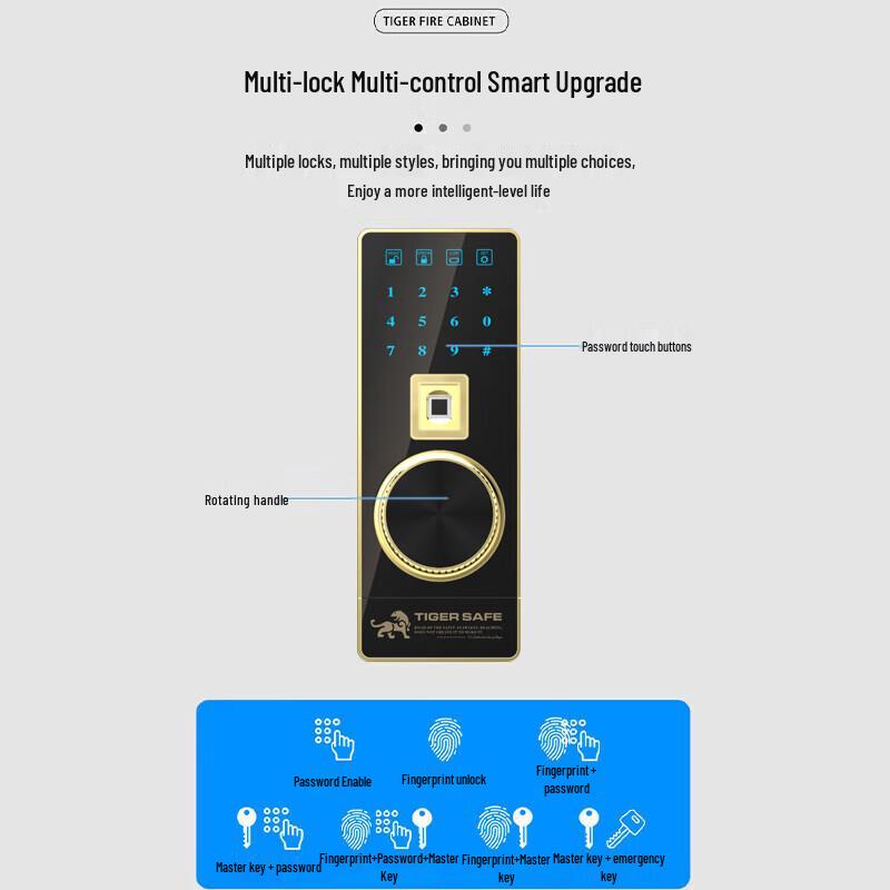 Tiger ST Series Fingerprint & Password File Cabinet