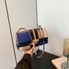 Stylish Women's Handheld Small Bag Summer New Fashionable Shoulder Bag In Elegant Colors
