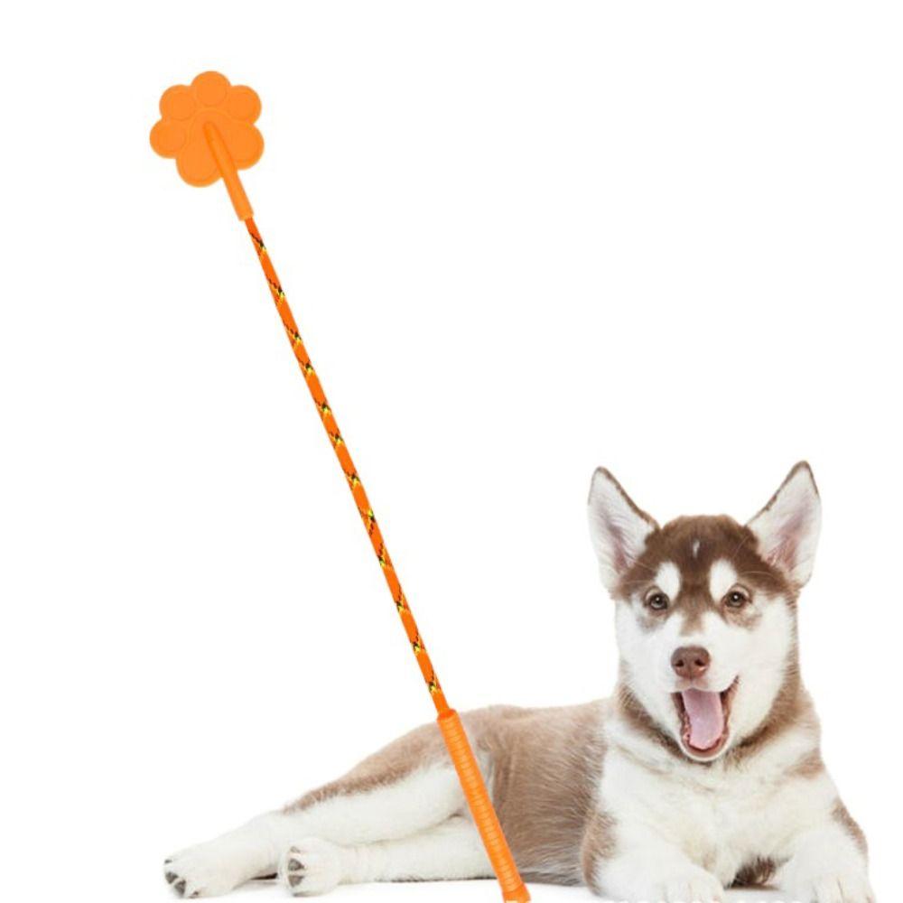 Non-slip Handle Training Dog Stick Claw Shaped Training Dog Whip   Training Educating Dog