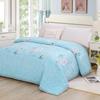 Shengfuni Washed Polyester Summer Air-Conditioning Quilt
