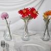 6PCS Vintage Mini Glass Vase Rustic Water Culture Vase Flower Holder  Dried Flower Display