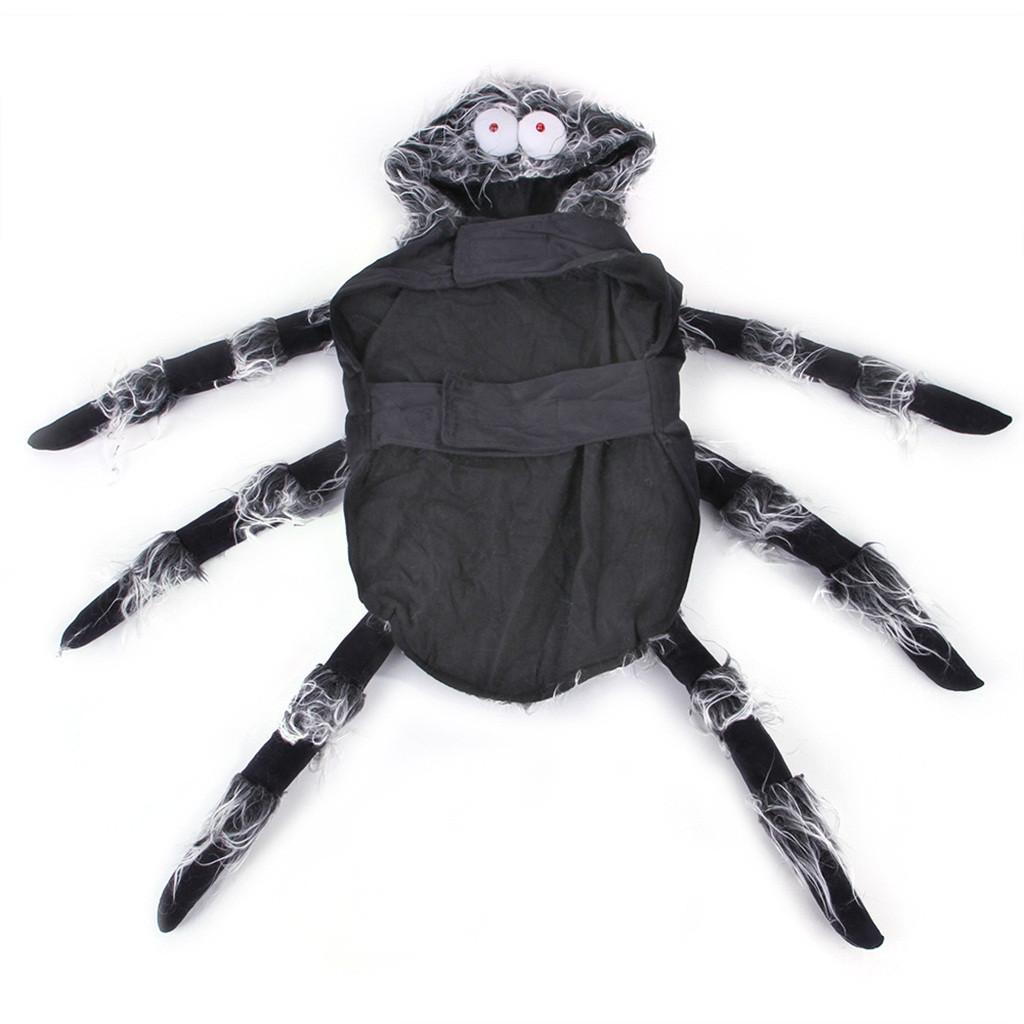 Amanda Pet Halloween Christmas Chest Back Creative Cat Dog Small Dog Spider Costume
