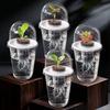 Transparent Nursery Pots Hydroponic Seedling Cup Flowerpot Potato Succulent Vegetable Hydroponic Planting Cup Nutritional Cup