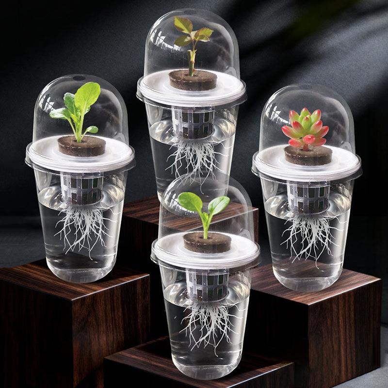 Transparent Nursery Pots Hydroponic Seedling Cup Flowerpot Potato Succulent Vegetable Hydroponic Planting Cup Nutritional Cup