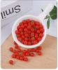 100PCS Simulation Mini Tomato Fake Fruit Micro Landscape Ornament Kids Pretend Play Toy Home Decor