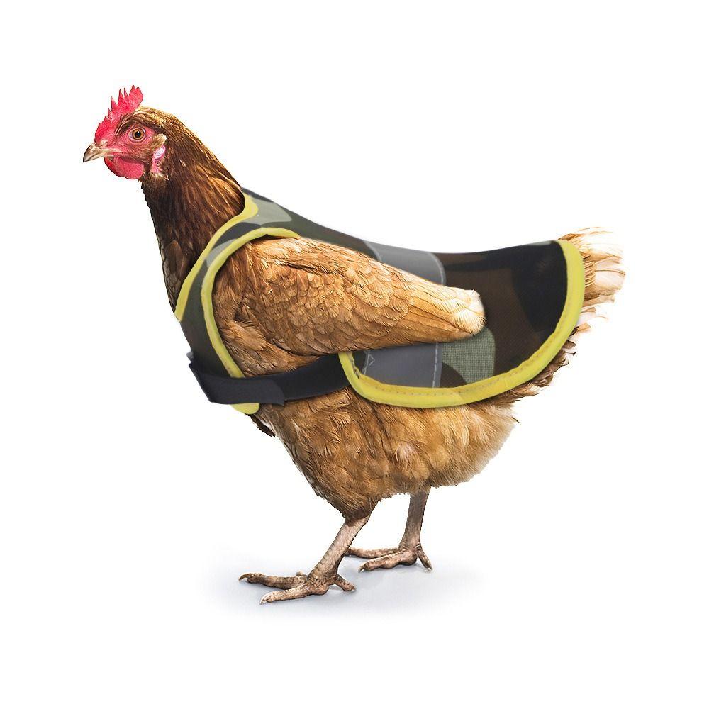 Feather Protection Hen Reflective Vest Breathable Chicken Saddle Accessories Chicken Vest