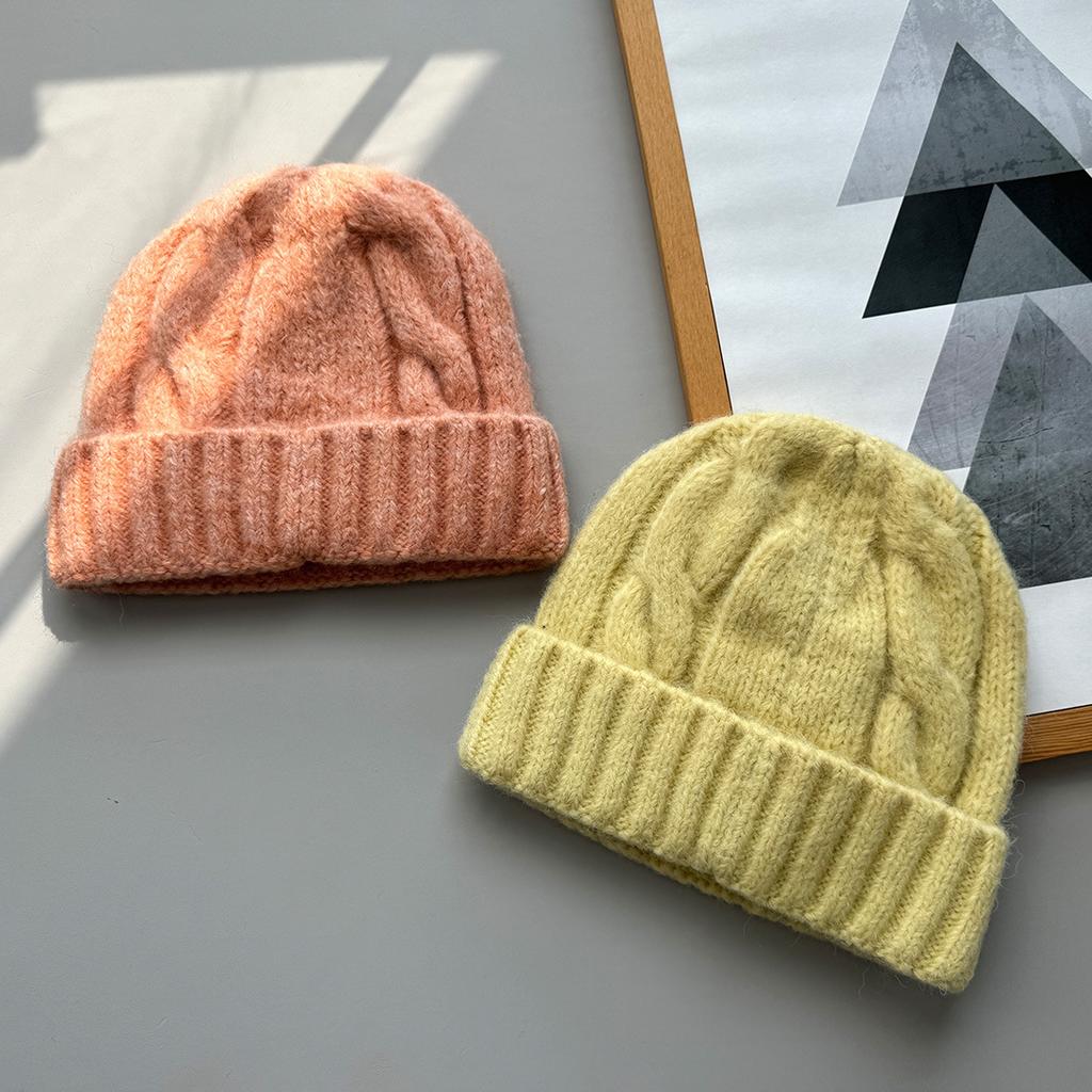 Korea autumn and winter simple coarse needle twisted warm knitted hat women's versatile ear protection wool hat