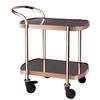 Luxury Hotel & KTV Serving Trolley