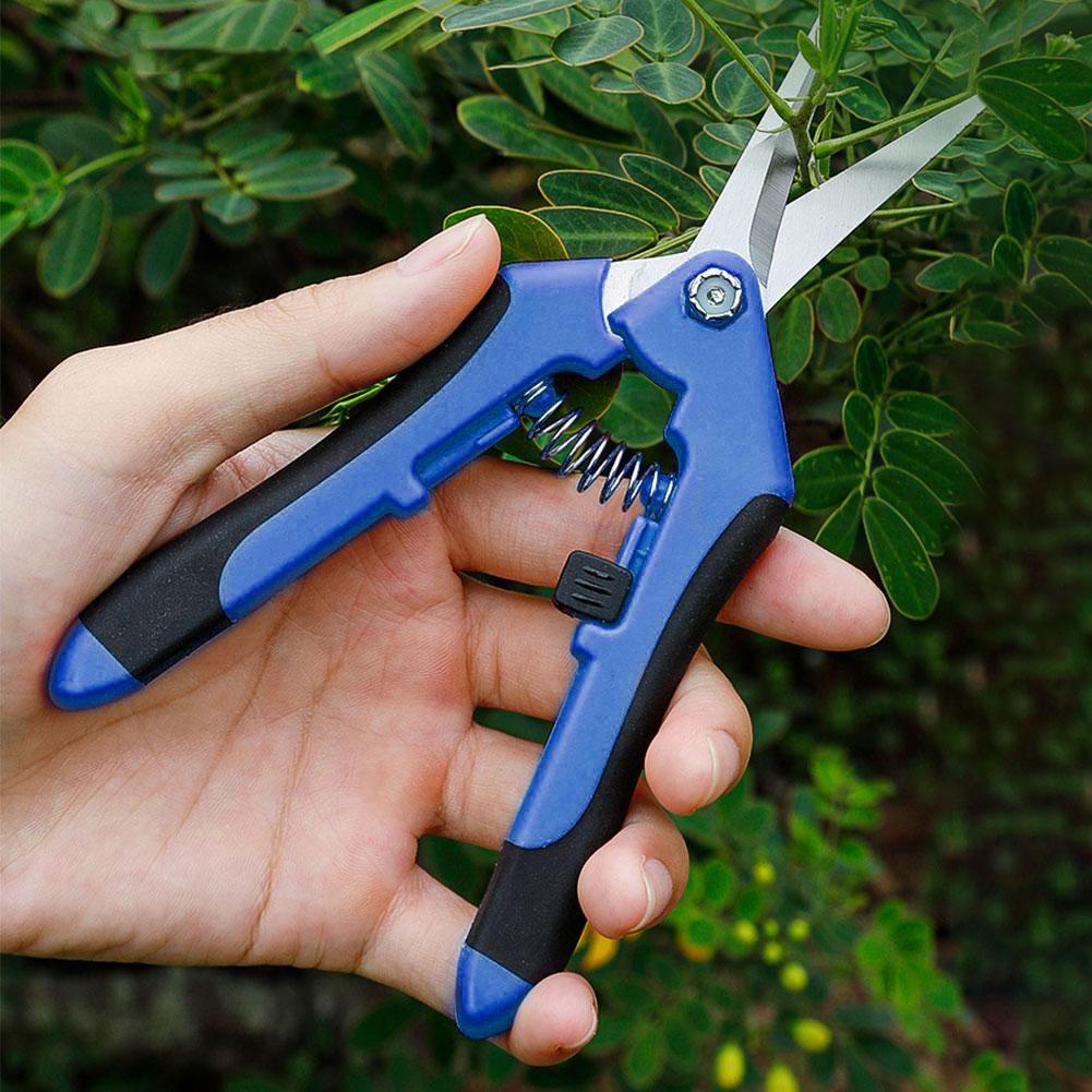 6.5 Inch Curved Pruning Scissors Multifunction Gardening Scissors Pruning Shears Flower Leaf Trimmer Scissors Gardening Supplies
