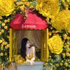 Decorațiuni pentru casă – Flori decorative şi coroane de flori