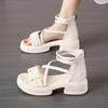 Fashion Women Sandals Platform Weave Summer Heeled Shoes Casual 2025 Designer New Walking Open Toe Shoes Woman Zippers Mujer Sandalias