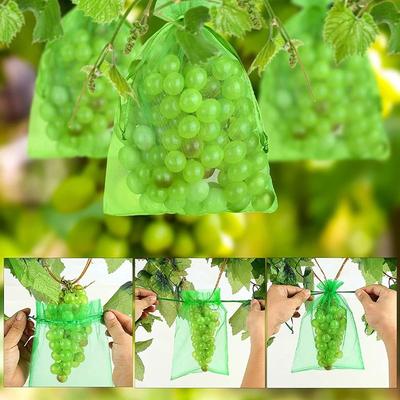50PCS Strawberry Grape Protection Sac Pest Control Anti-Bird Garden Netting Bags Fruit Protection Bags For Plantas Vegetable Grow Bags