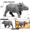 Realistic Rhinoceros Science Toy: African & Indian Models for Children's Cognitive Learning