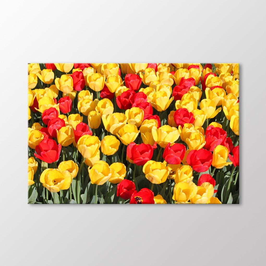 

Стол тюльпанов