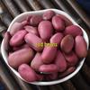 Rattan DIY Craft Kit: Cute Peapod Doll Pendant Material Pack