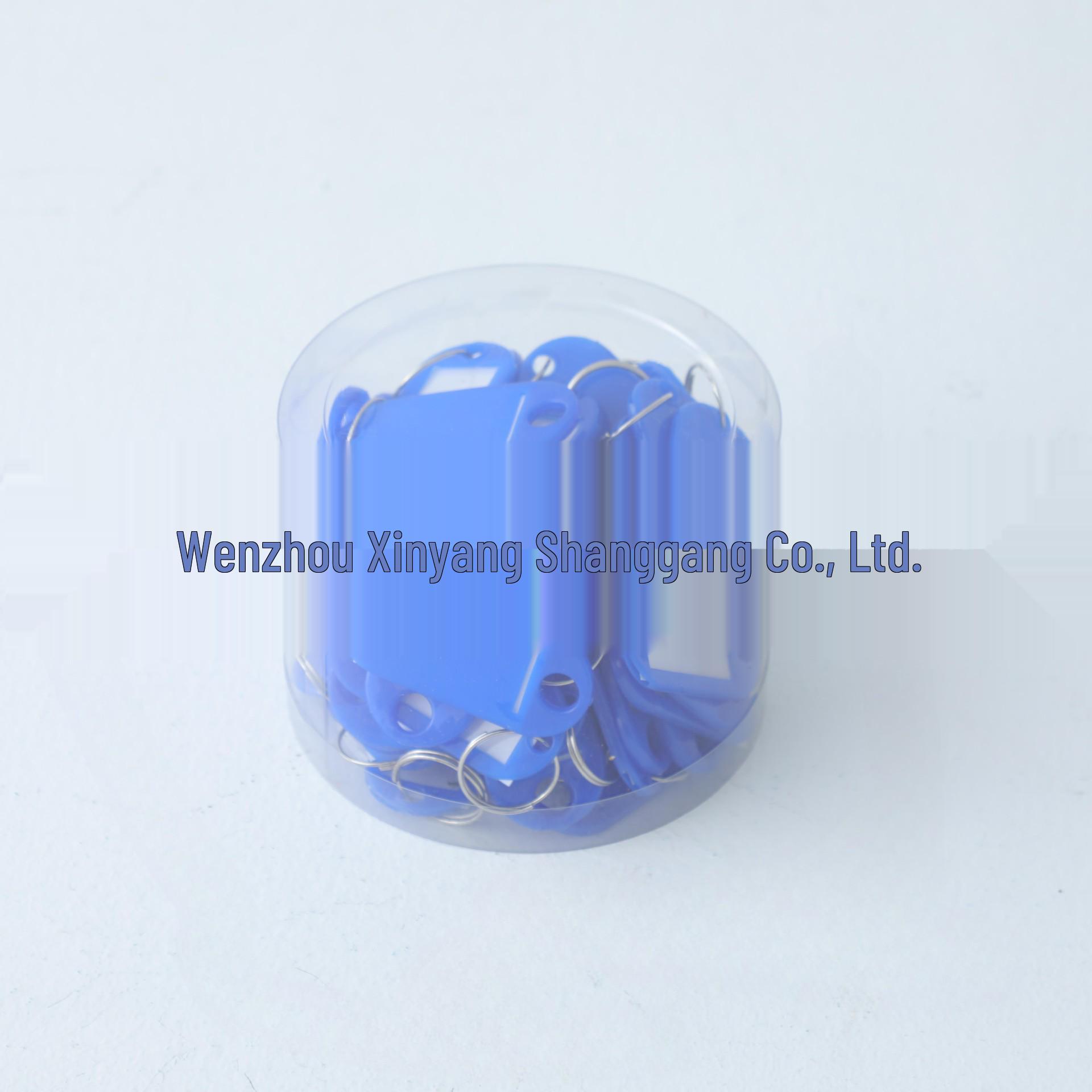 

Colorful Detachable Plastic Key Tag Keyring for Office & Home Management