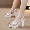 Platform Women's Ankle Buckle High-Heeled Sandals New Style Cross Strap Sandal Female 2026 Outdoor Thick Heel Sandalias Mujer