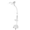 Einstellbare LED Kaltlicht Stehlampe Tattoo Beauty Lampe mit Lupe