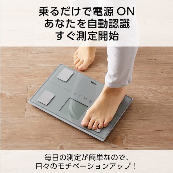 TANITA Körperanalysegerät BC-316 (Silber) BC-316-SV