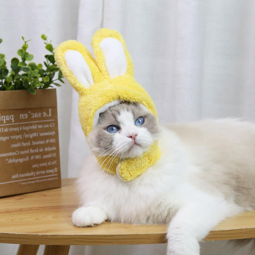 Malý pes kočka s ušima Legrační velikonoční králík oblečení pet doplňky