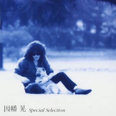 CD AKIRA INABA  Special Selection VPCC81024 Vap 1993 Japan Japanese PopRock Used