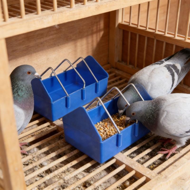 Cage Mounted Feeders for Small Poultry Thick Shatterproof and Removable Wire Dividers Accommodating Multiple Birds Comfortably