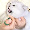 2 Piece Portable Pet Medication Device Soft Silicone Feeder Accurate Dosing System For Travel Friendly Use