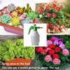 20ml Gibberellic Acid Liquid Garden Farm Backyard Plants Growing Necessary