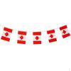 Canada Flag String for Sport Bars Party Decorations 5.5M