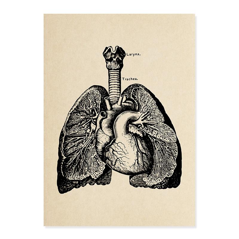 

Вінтажний медичний плакат Скелет людини Анатомія Череп Клініка Настінне мистецтво Картина на полотні Друк картин для освітнього декору лікарні A4 21x30cm No Frame