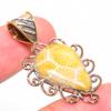 Natural Fossil Coral TwoTone 925 Solid Sterling Silver Gift Pendant 1.70" T6n94
