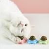 1PC Natural Catnip Kitten Mint Ball Toy Cats Playing Cleaning Teeth Crab Snail Toys