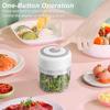 Electric Mini Food Chopper 100/250ml Rechargeable Small Food Processor for Garlic Onion Herb Veggie Ginger Fruit Puree Blender