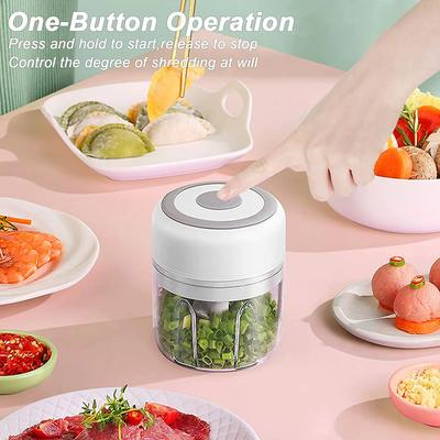 Electric Mini Food Chopper 100/250ml Rechargeable Small Food Processor for Garlic Onion Herb Veggie Ginger Fruit Puree Blender