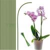 Garden Plant Support Stakes With Adjustable Water Flow For Home Gardening Enthusiasts